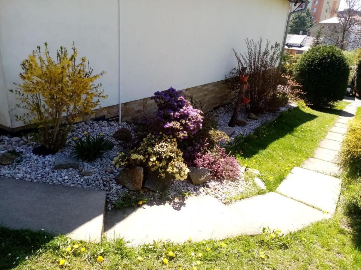 Podkrovni Apartman Tereza Rumburk Exterior photo